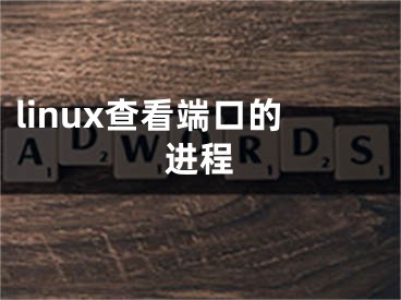 linux查看端口的进程