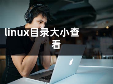 linux目录大小查看