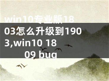 win10专业版1803怎么升级到1903,win10 1809 bug