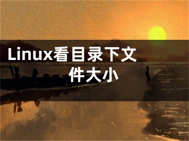 Linux看目录下文件大小