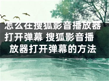 怎么在搜狐影音播放器打开弹幕 搜狐影音播放器打开弹幕的方法