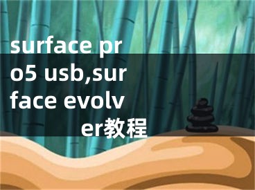 surface pro5 usb,surface evolver教程