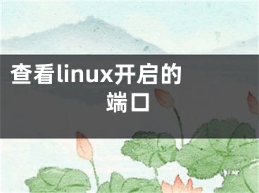 查看linux开启的端口