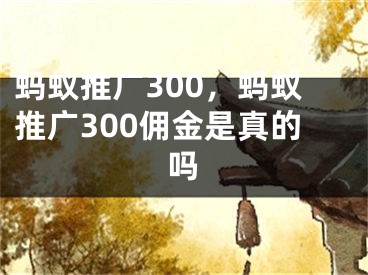 蚂蚁推广300，蚂蚁推广300佣金是真的吗