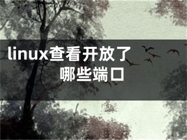 linux查看开放了哪些端口