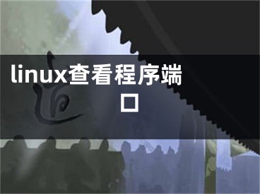 linux查看程序端口