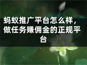 蚂蚁推广平台怎么样，做任务赚佣金的正规平台