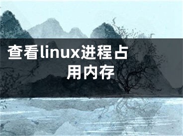 查看linux进程占用内存