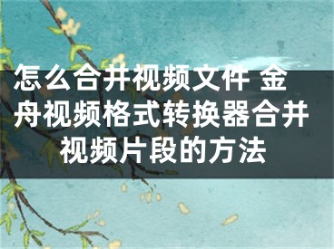 怎么合并视频文件 金舟视频格式转换器合并视频片段的方法