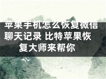 苹果手机怎么恢复微信聊天记录 比特苹果恢复大师来帮你 