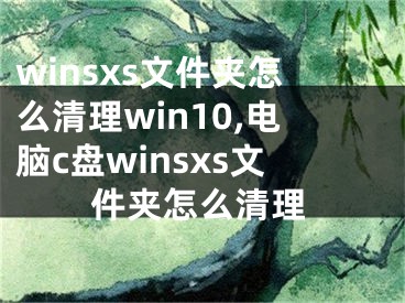 winsxs文件夹怎么清理win10,电脑c盘winsxs文件夹怎么清理