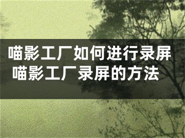 喵影工厂如何进行录屏 喵影工厂录屏的方法