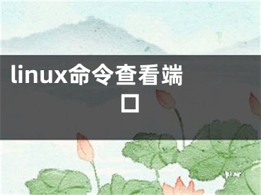 linux命令查看端口