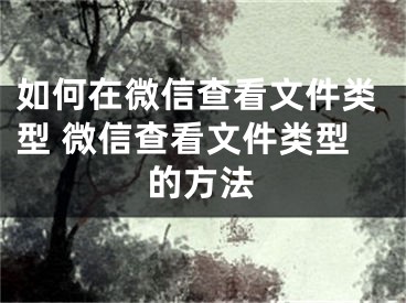 如何在微信查看文件类型 微信查看文件类型的方法