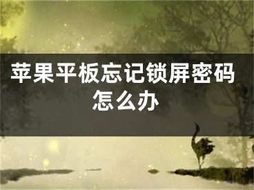 苹果平板忘记锁屏密码怎么办