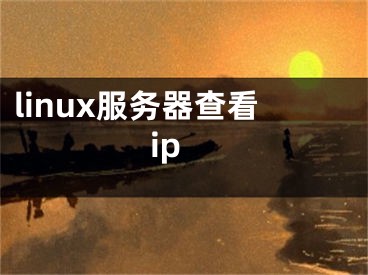 linux服务器查看ip