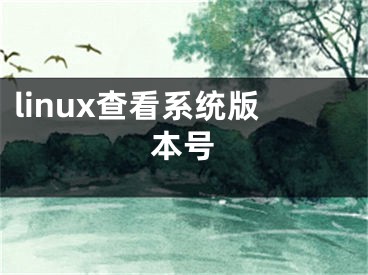 linux查看系统版本号