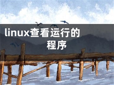 linux查看运行的程序