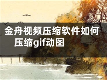 金舟视频压缩软件如何压缩gif动图 