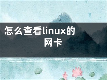 怎么查看linux的网卡