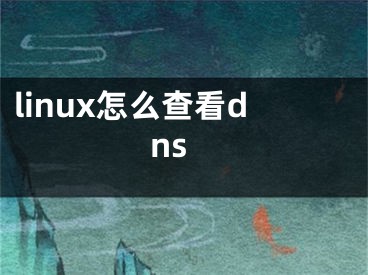 linux怎么查看dns