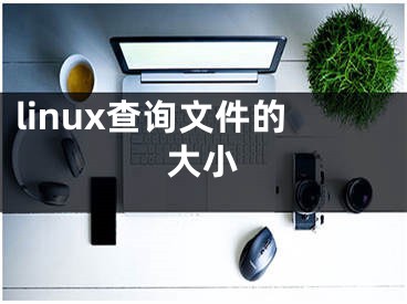 linux查询文件的大小