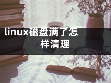 linux磁盘满了怎样清理