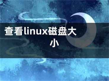 查看linux磁盘大小