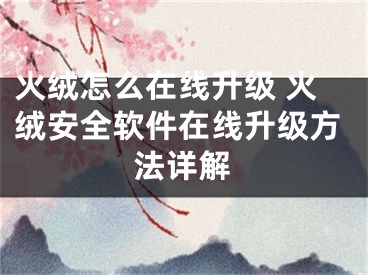 火绒怎么在线升级 火绒安全软件在线升级方法详解