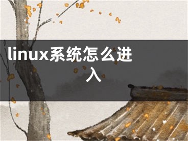 linux系统怎么进入