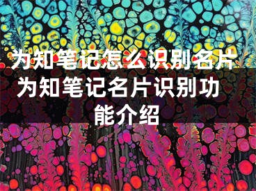 为知笔记怎么识别名片 为知笔记名片识别功能介绍