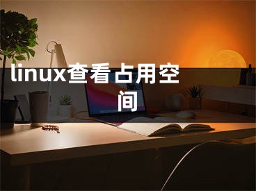 linux查看占用空间