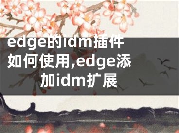 edge的idm插件如何使用,edge添加idm扩展