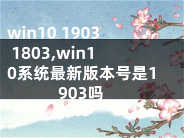 win10 1903 1803,win10系统最新版本号是1903吗