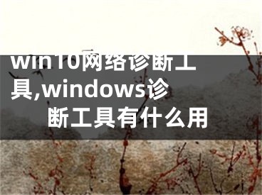 win10网络诊断工具,windows诊断工具有什么用