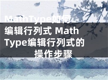 MathType如何编辑行列式 MathType编辑行列式的操作步骤
