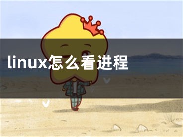 linux怎么看进程 