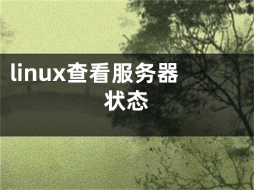 linux查看服务器状态