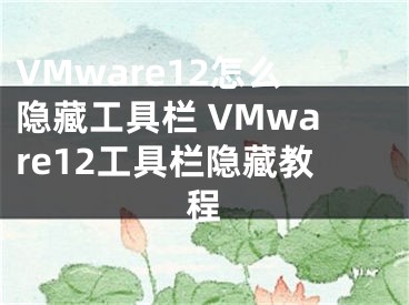 VMware12怎么隐藏工具栏 VMware12工具栏隐藏教程