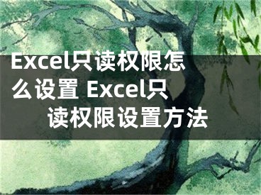 Excel只读权限怎么设置 Excel只读权限设置方法