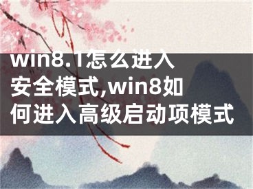 win8.1怎么进入安全模式,win8如何进入高级启动项模式