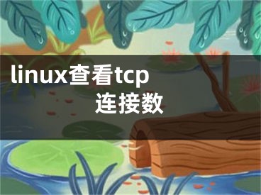 linux查看tcp连接数