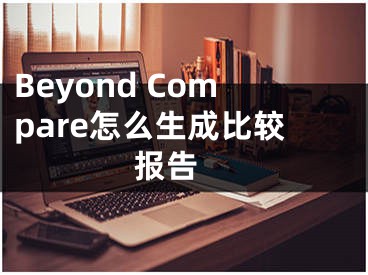 Beyond Compare怎么生成比较报告 