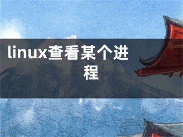 linux查看某个进程