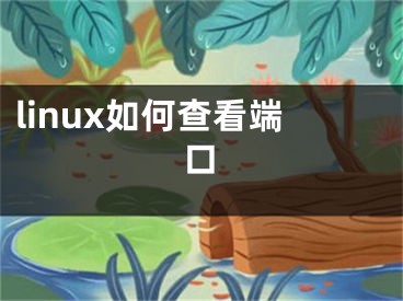 linux如何查看端口