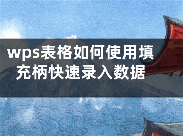 wps表格如何使用填充柄快速录入数据 