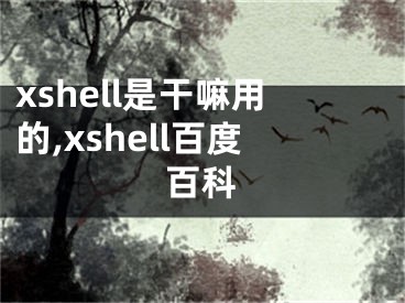 xshell是干嘛用的,xshell百度百科