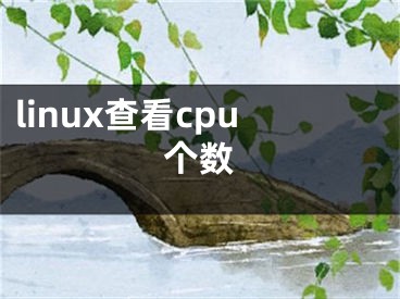linux查看cpu个数