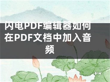 闪电PDF编辑器如何在PDF文档中加入音频 