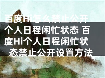 百度Hi怎么禁止公开个人日程闲忙状态 百度Hi个人日程闲忙状态禁止公开设置方法